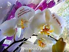 надписи на лепестки