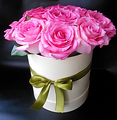 композиция № 101