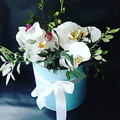 композиция № 116