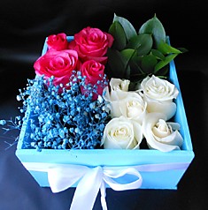 композиция № 102